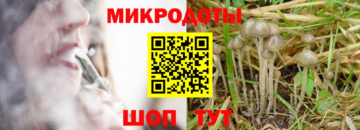 Галлюциногенные грибы Psilocybine cubensis  Вход с VPN  Добрянка 